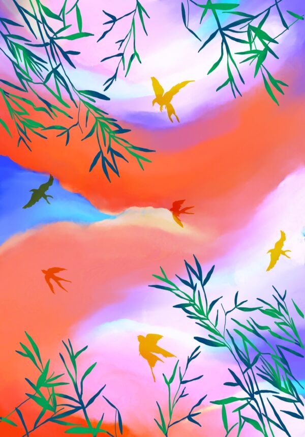 Sky drift - Image 4