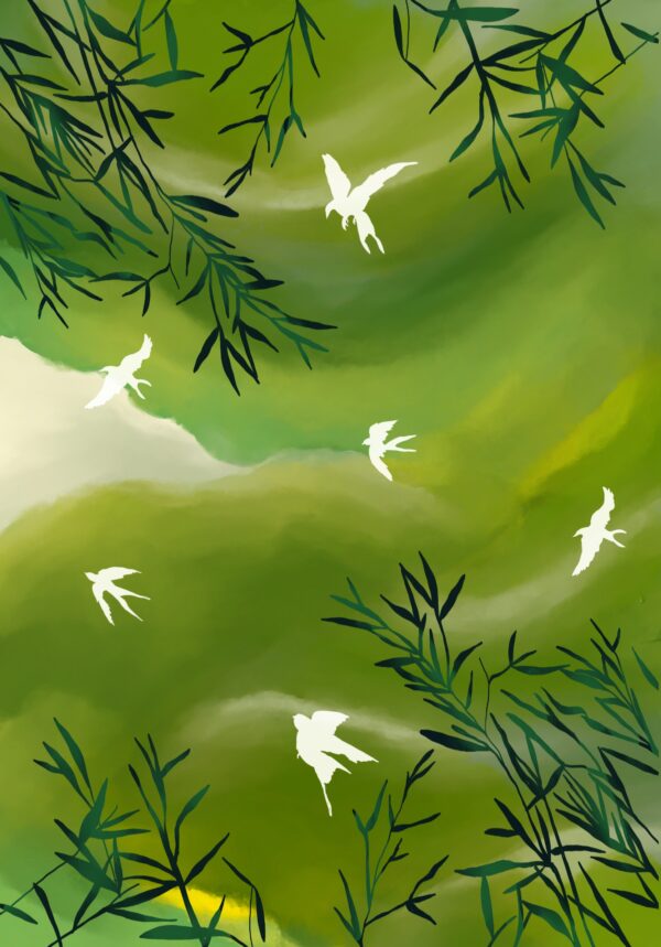 Sky drift - Image 5