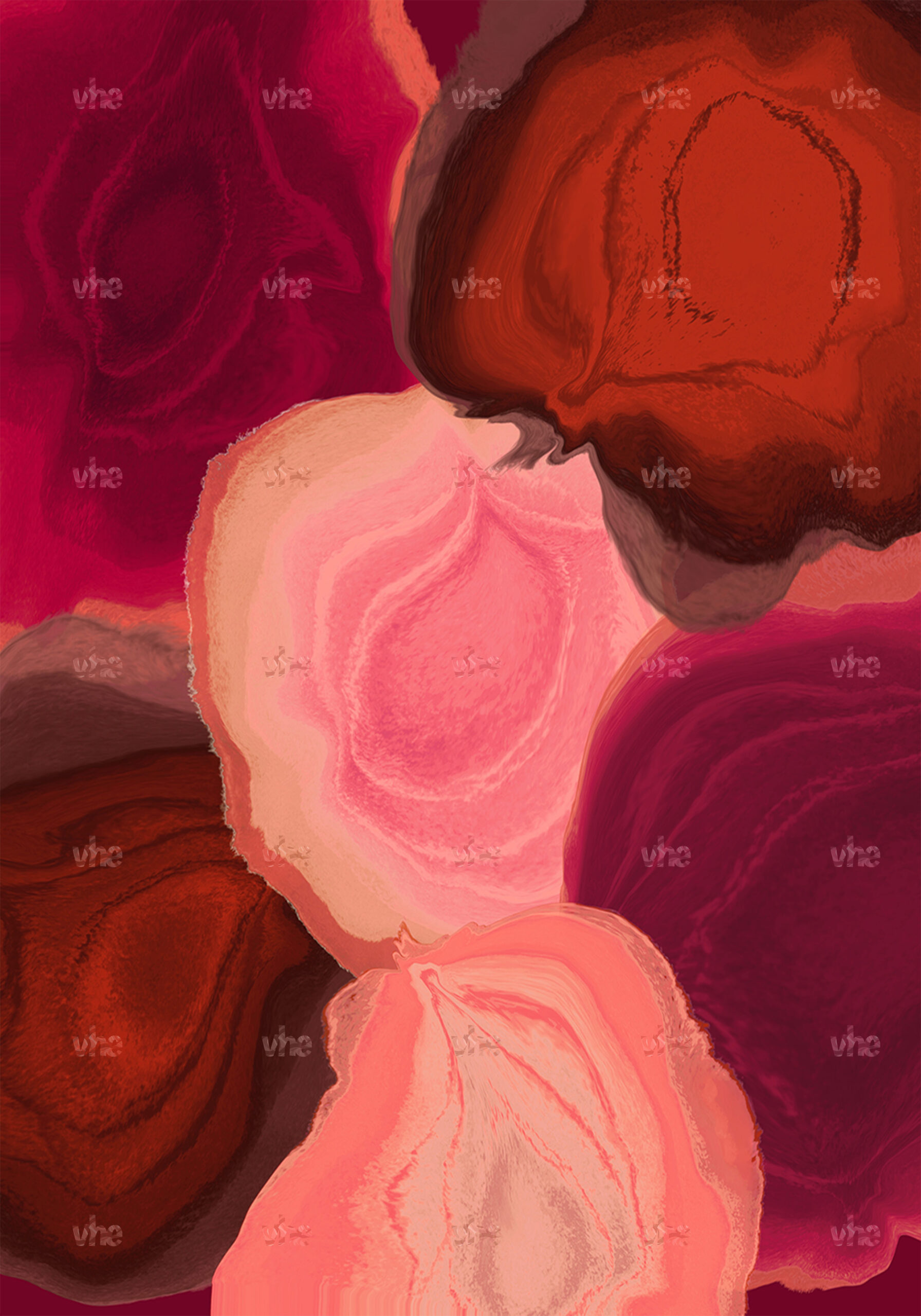 Rose - Image 2