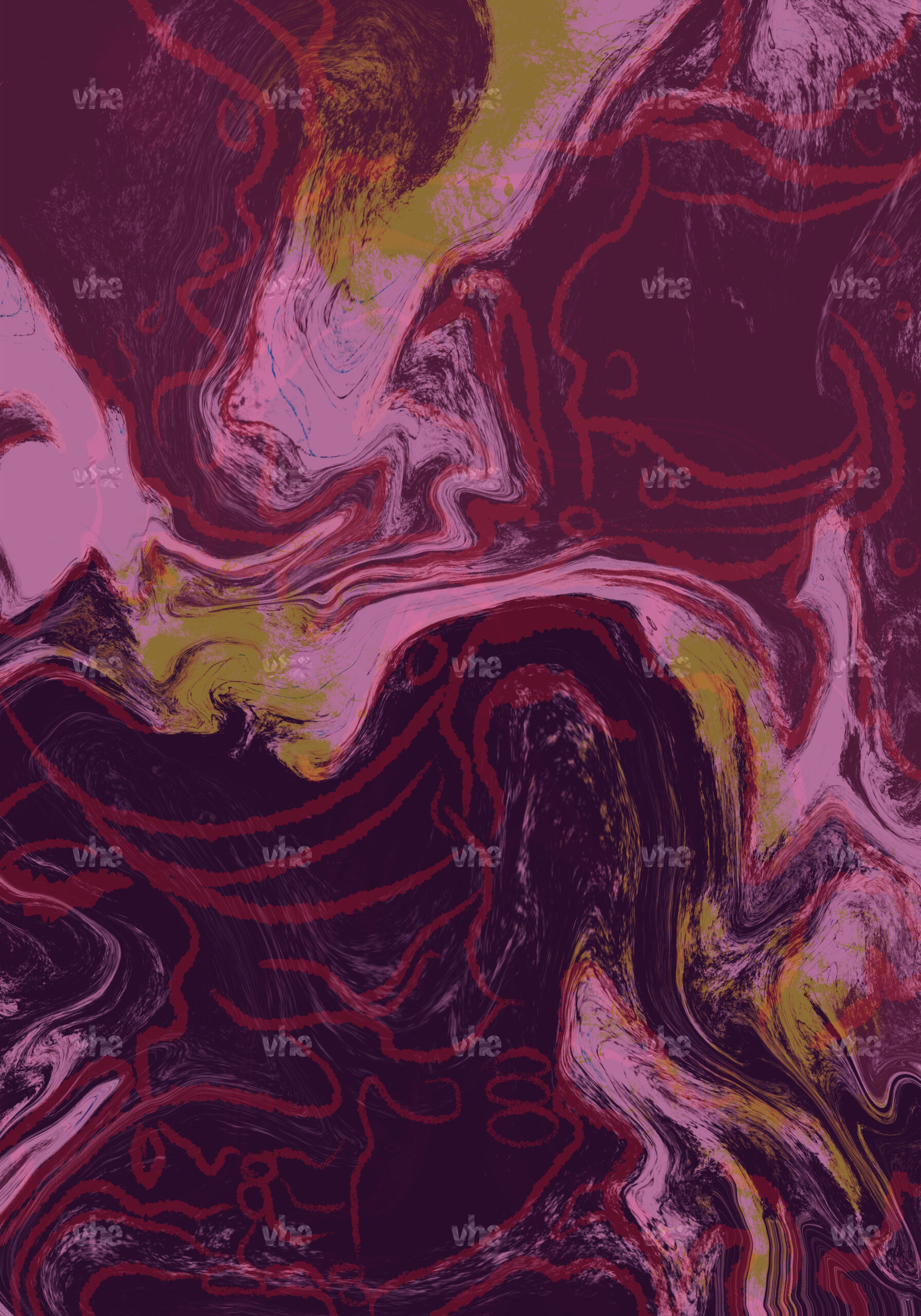 Safari - Image 3
