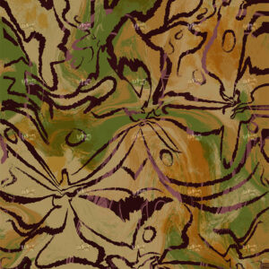 Safari